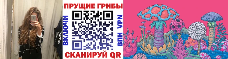Псилоцибиновые грибы Psilocybine cubensis  Перевоз 